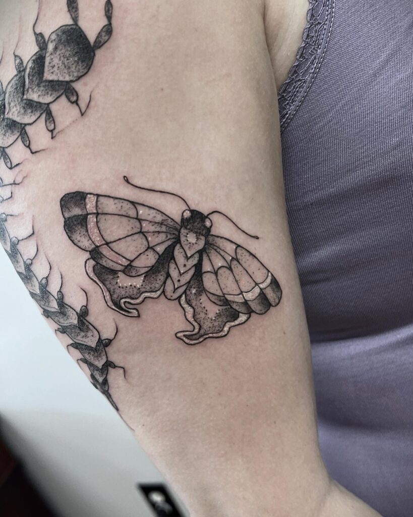 butterfly tattoo