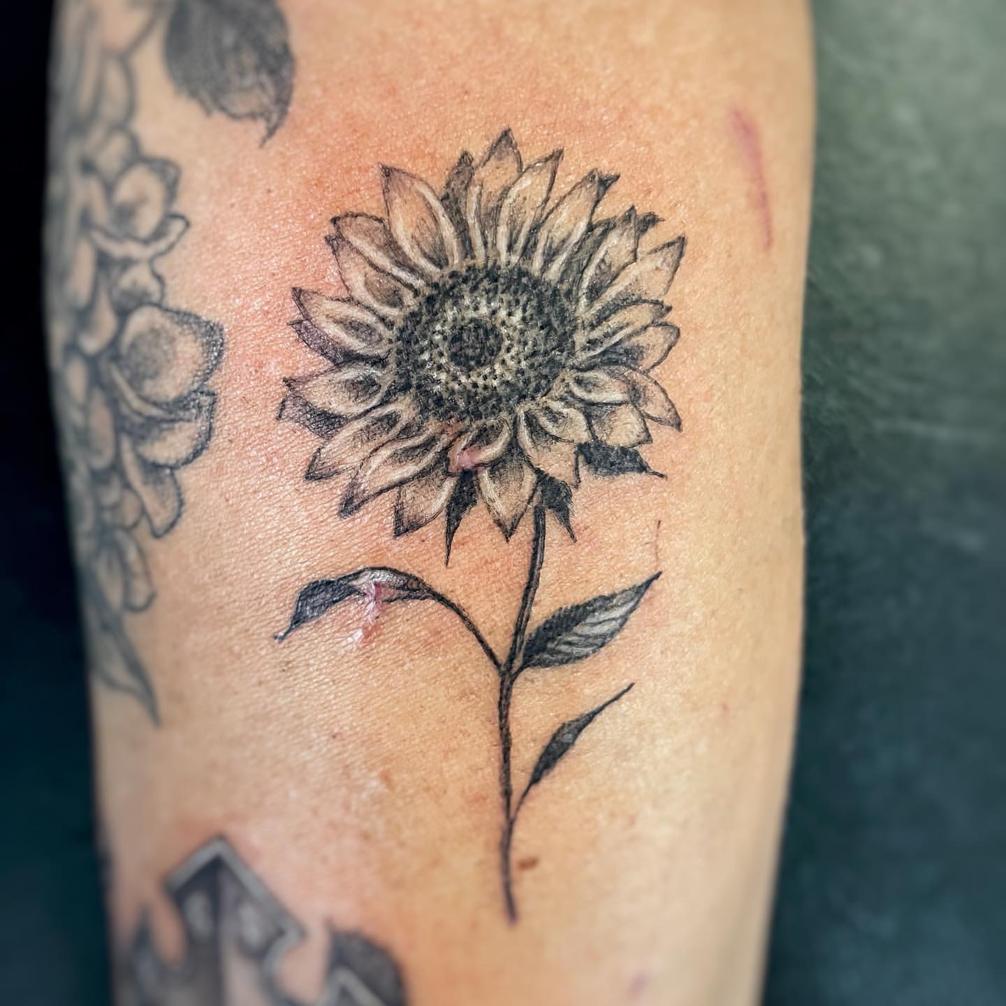 Flower Tattoo Ideas, Sunflower Tattoo